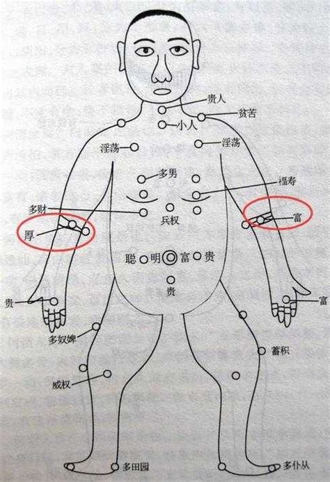 前手臂有痣|左右手臂痣相圖解